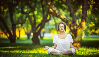 巴塞尔瞄准国际米兰后卫帕拉西奥斯,拟以租借加买断方式促成交易